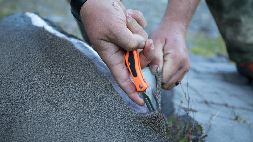 Stainless Steel Fixed Blade Knife: Choosing the Right Cutlery Companion