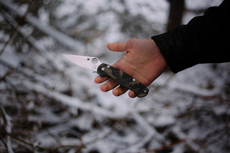 Knife Maintenance Mistakes Every Chef Should Avoid
