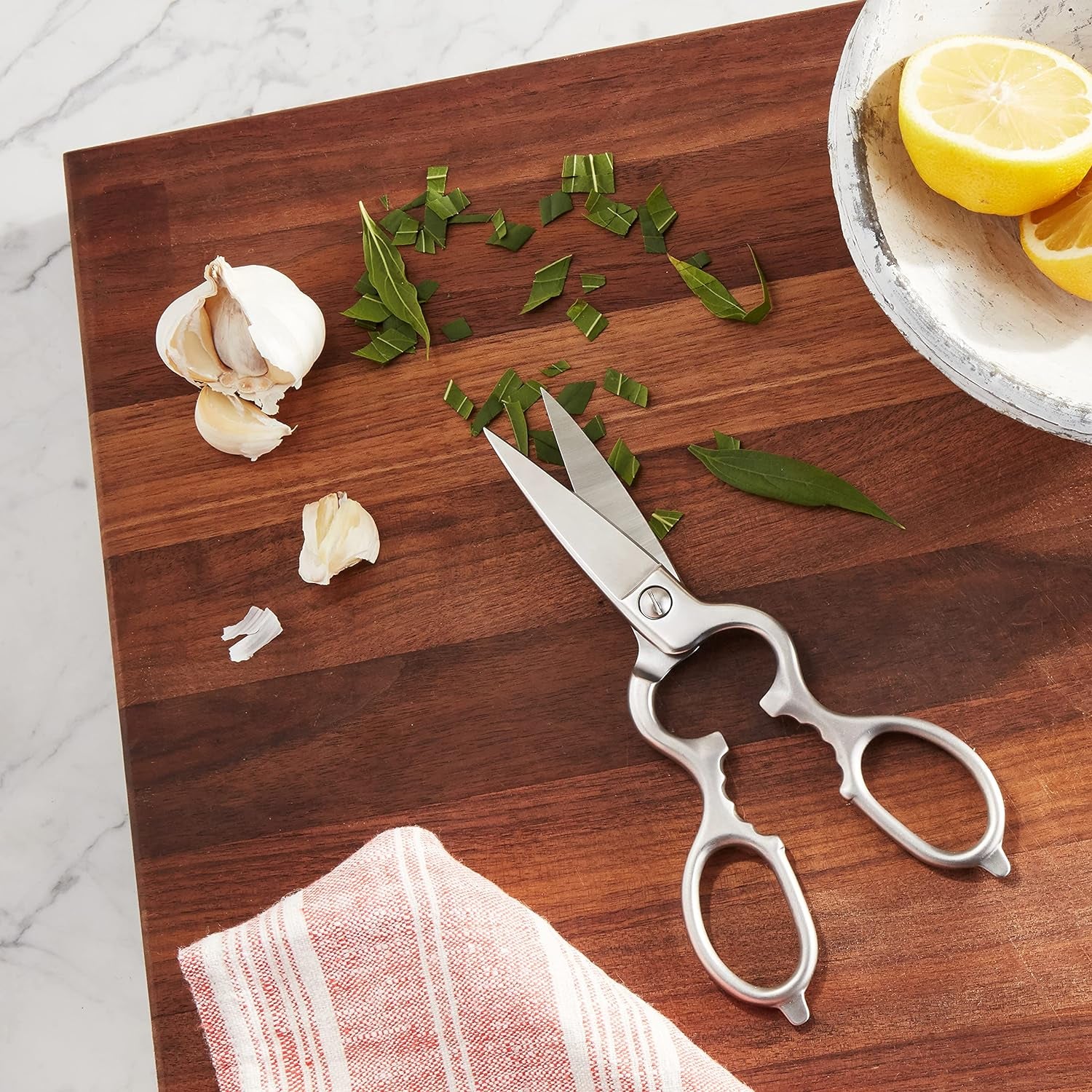 Stainless Kitchen Shears