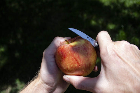 Image of Mini Paring Kitchen Knife with 2.25" Stainless Steel Blade with Durable Black Polypropylene Handle - Plainedge - K09PBK