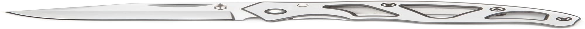 Gerber Gear 22-48485 Paraframe Mini Pocket Knife, 2.2 Inch Fine Edge Blade, Stainless Steel