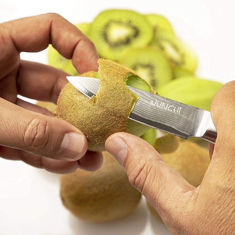 Image of Damascus Paring Knife, 3.5 Inch Japanese VG-10 Stainless Steel Super Sharp Small Kitchen Knives with Pakkawood Handle