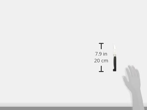 Image of Four Stars Peeling Knife, Silver/Black