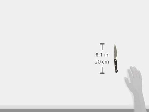 Image of 34890-101 Bob Kramer Euro Stainless Steel Paring Knife, 3.9 Inches (100 Mm), Made in Japan, Damascus Petty Fruit, Multi-Layered Steel, Made in Seki, Gifu Prefecture