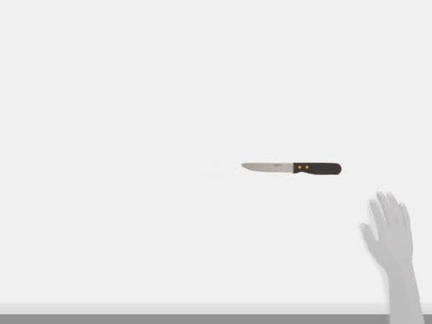 Image of round End Steak Knife with Plastic Handle