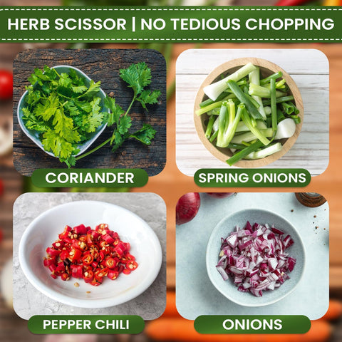 Image of Kitchshears Herb Scissors with 5 Blades and Cover-Premium-Quality Herb Cutter Scissors Stainless-Steel & Easy to Clean- Heavy-Duty Vegetable Scissors for Chopped Salad & Mincing Meat-Bonus Herb Comb