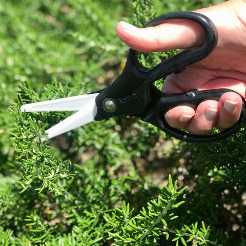 Image of Ceramic Scissors, Overall Length 7.2" with 2.7" Long Blades, Black Handle with White Blades