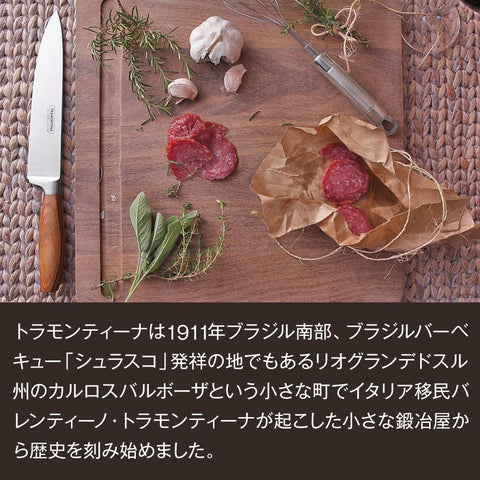 Image of Tramontina Traditional Steak Knife 22200/405