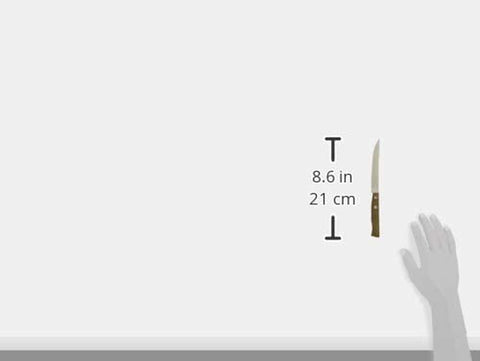 Image of Tramontina Traditional Steak Knife 22200/405