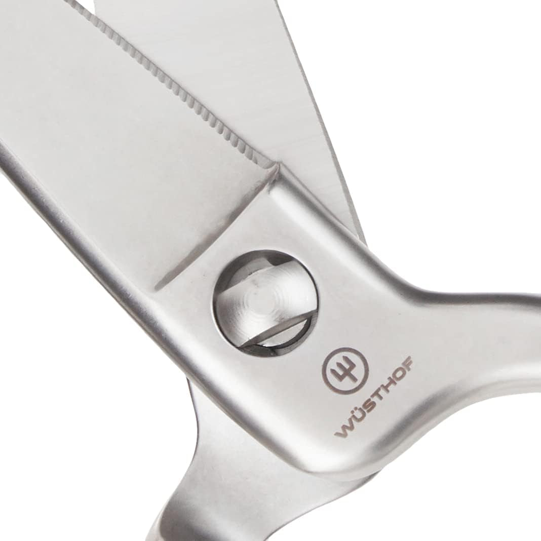 Stainless Kitchen Shears