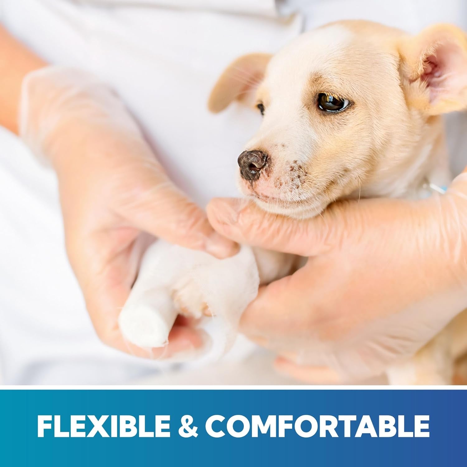 Clear Latex-Free Disposable Gloves - Single-Use Powder-Free Vinyl Gloves – Non-Latex Gloves for Cooking & Cleaning