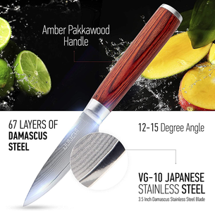 Damascus Paring Knife, 3.5 Inch Japanese VG-10 Stainless Steel Super Sharp Small Kitchen Knives with Pakkawood Handle