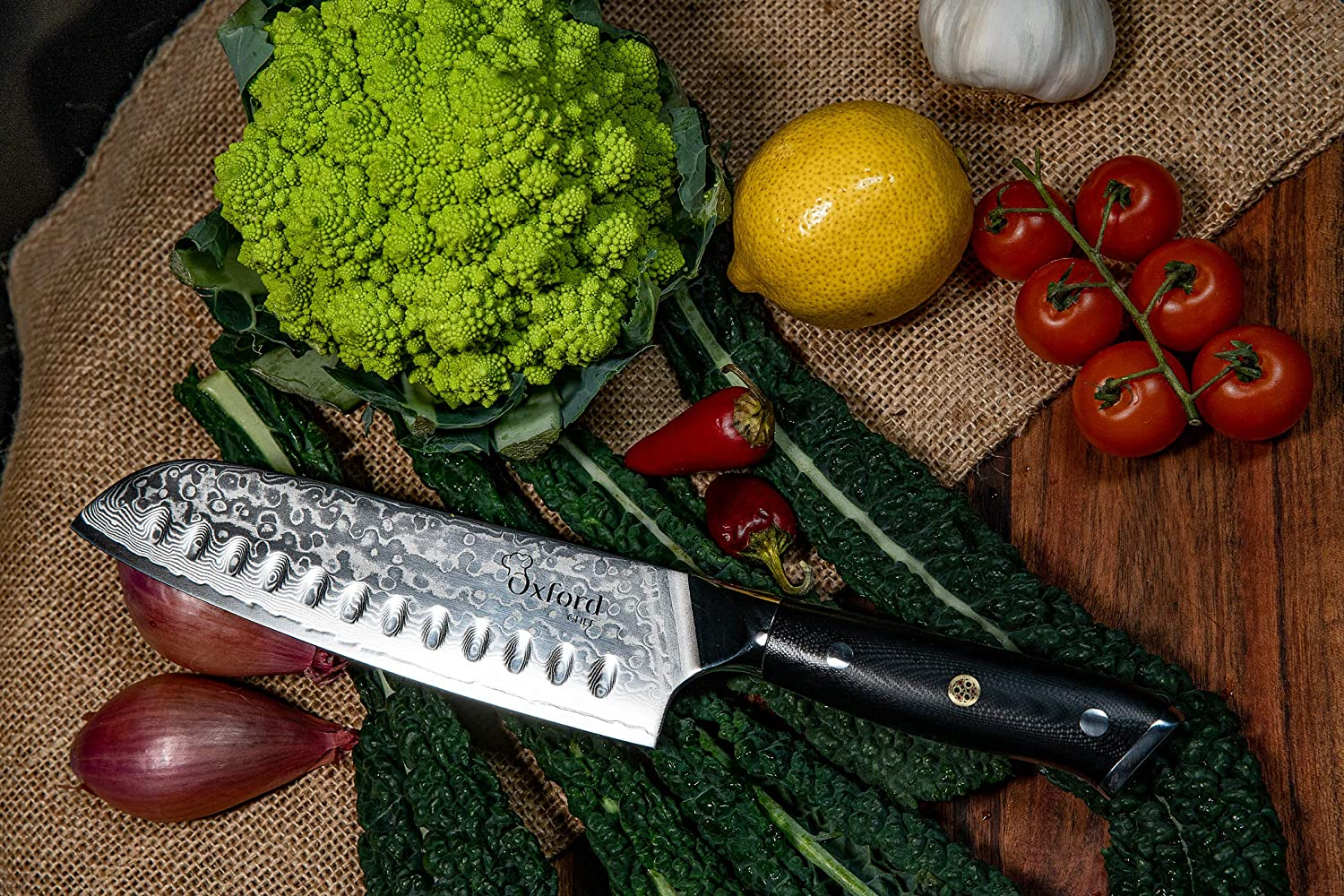 Santoku Chef’S Knife 7 Inch: Best Professional Scalloped Hollow (Granton) Edge Japanese VG10 67 Layer Damascus Steel Ultra Sharp Blade W/G-10 Ergonomic Handle by Oxford Chef