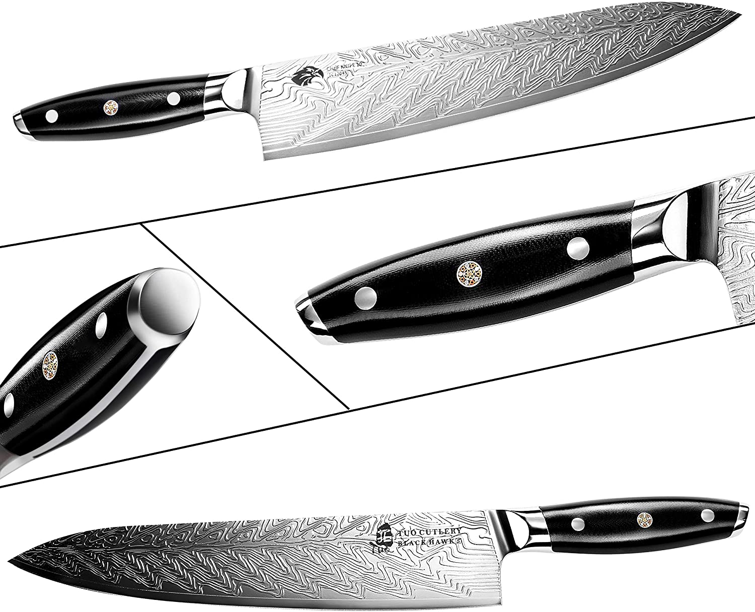 TUO Chef Knife - Kitchen Knives 10-Inch High Carbon Stainless Steel - Pro Chef Vegetable Meat Knife with G10 Full Tang Handle - Black Hawk S Knives Including Gift Bo