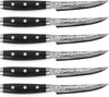 Enso HD 6-Piece Steak Knife Set