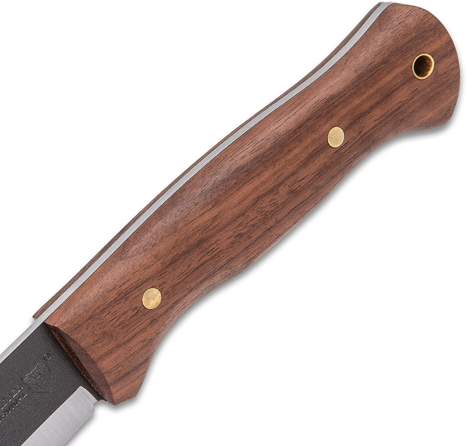 Bushmaster Bushcraft Explorer Fixed Blade Knife, 1095 Carbon Steel Blade, Zebra Wood Handle, Brass Pins and Lanyard Hole, Length 9 5/8 Inch