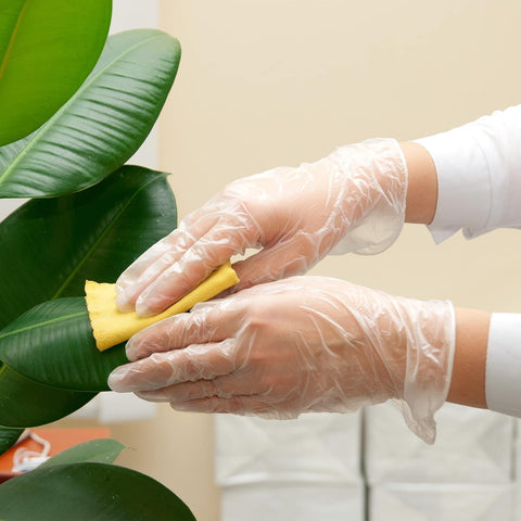 Image of Clear Vinyl Exam Gloves, Latex-Free, Disposable Medical Gloves, Cleaning Gloves, Food Safe, Powder-Free, 4 Mil