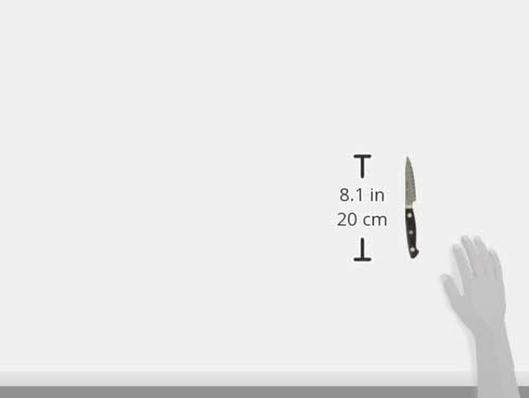 34890-101 Bob Kramer Euro Stainless Steel Paring Knife, 3.9 Inches (100 Mm), Made in Japan, Damascus Petty Fruit, Multi-Layered Steel, Made in Seki, Gifu Prefecture