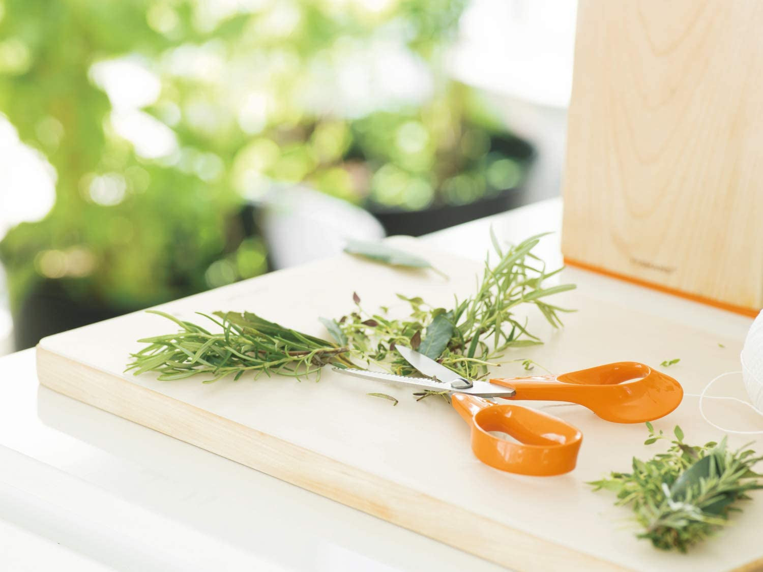 Kitchen Scissors, Total Length: 18 Cm, Quality Steel/Synthetic Material, Classic, 1000819