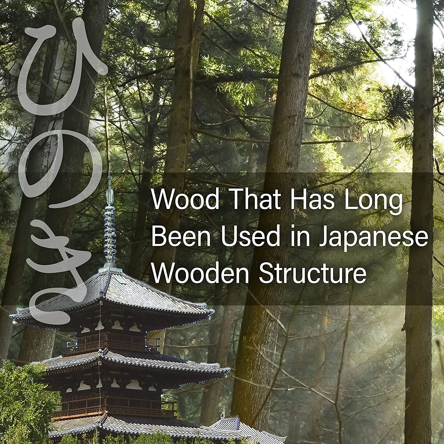 Japanese Hinoki Cutting Board - Large - Natural Cypress Wood Cutting Board, Kitchen Chopping Board, High Durability, Made in Japan (16.53×9.44×0.59 Inch) (Large)