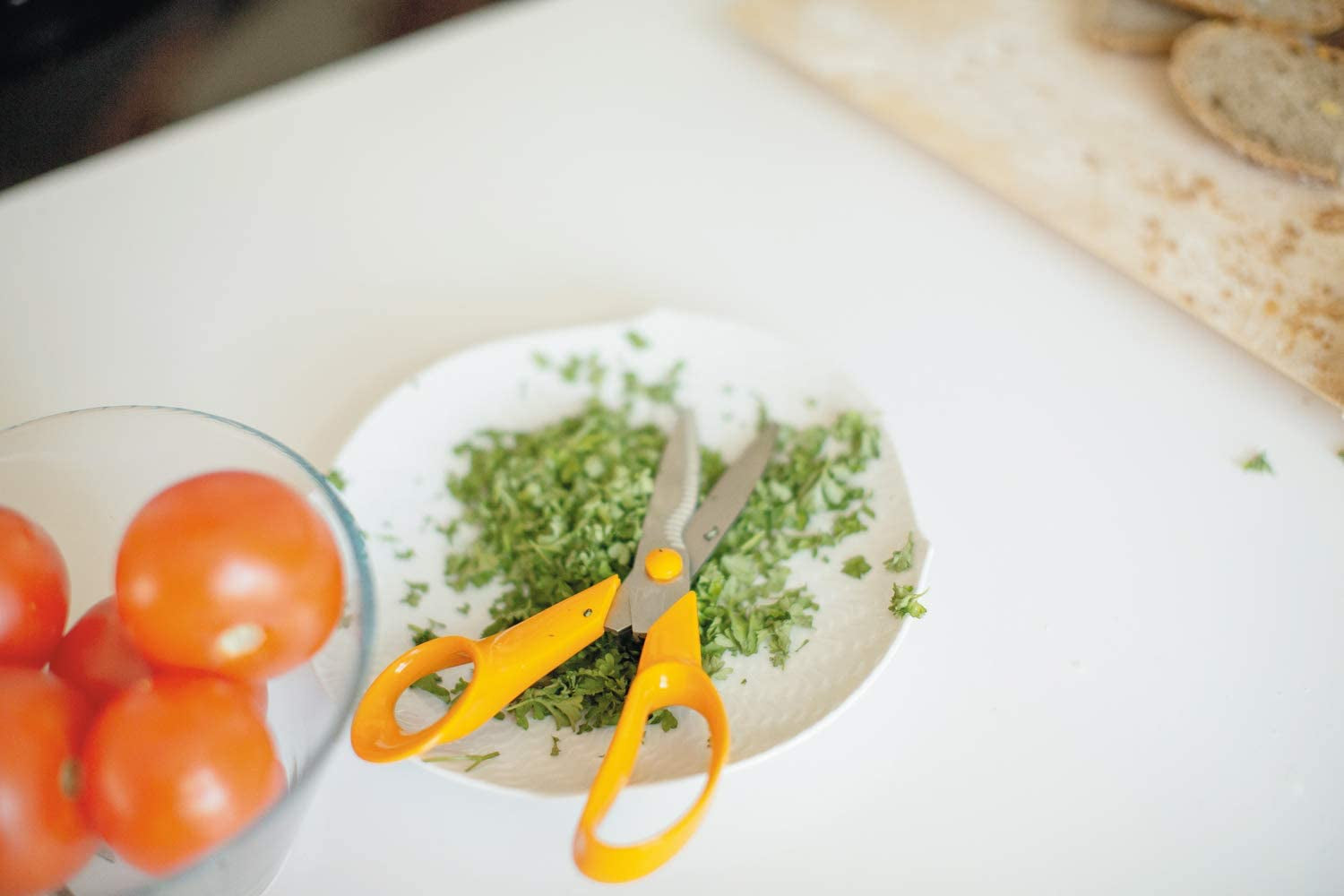 Kitchen Scissors, Total Length: 18 Cm, Quality Steel/Synthetic Material, Classic, 1000819