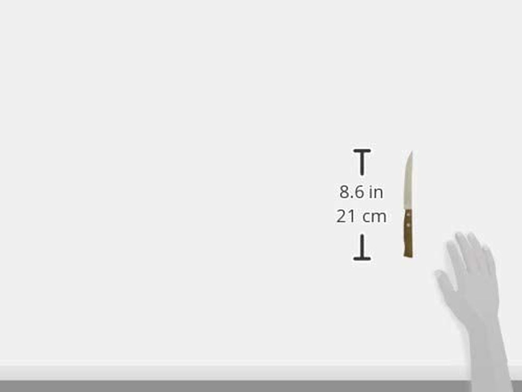 Tramontina Traditional Steak Knife 22200/405